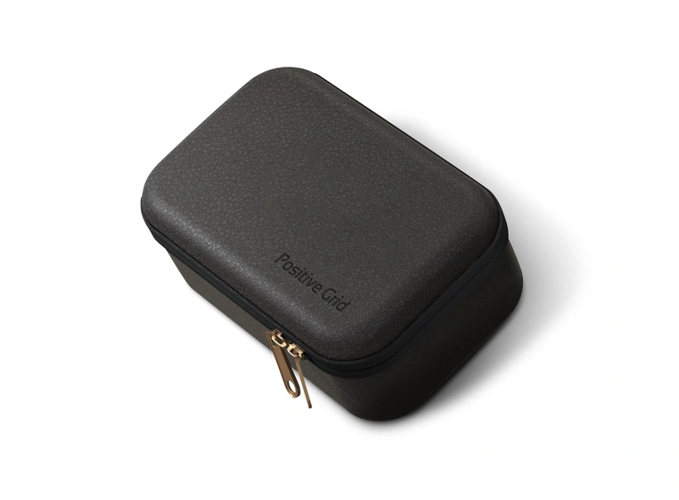 Positive Grid Spark Go Case 