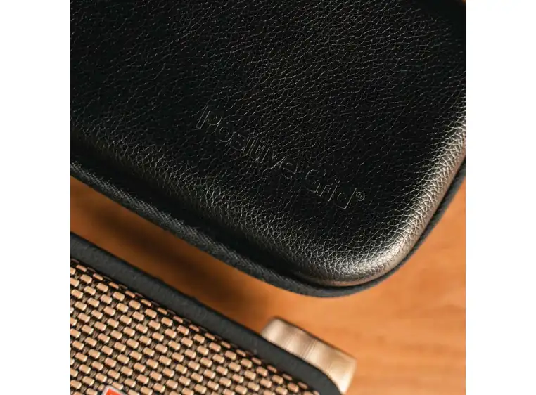 Positive Grid Spark Go Case 