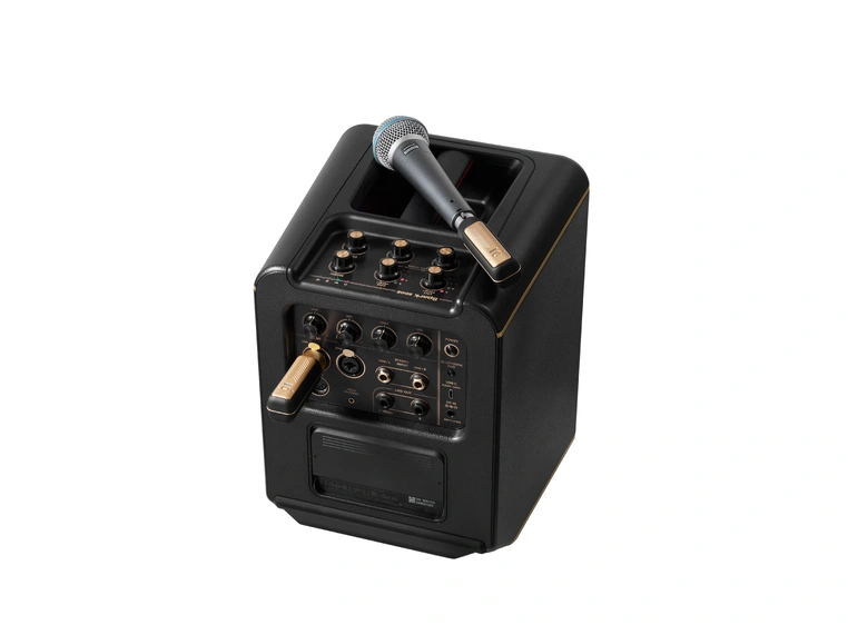 Positive Grid Spark Link XLR 