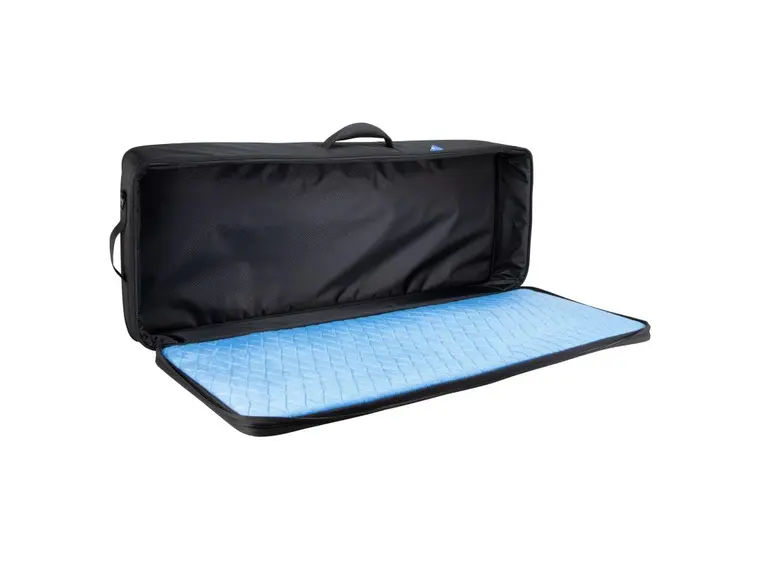 Reunion Blues RBX-43 Pedalboard/Gear Case 43" x 16" 