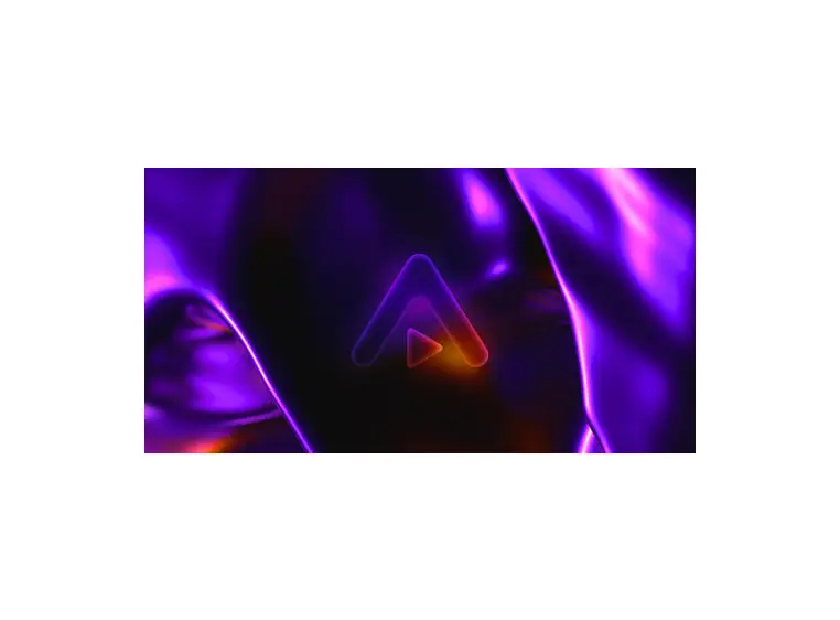 Steinberg Absolute 6 Retail (download) 