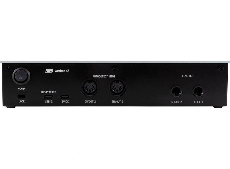 ESI Amber i2 