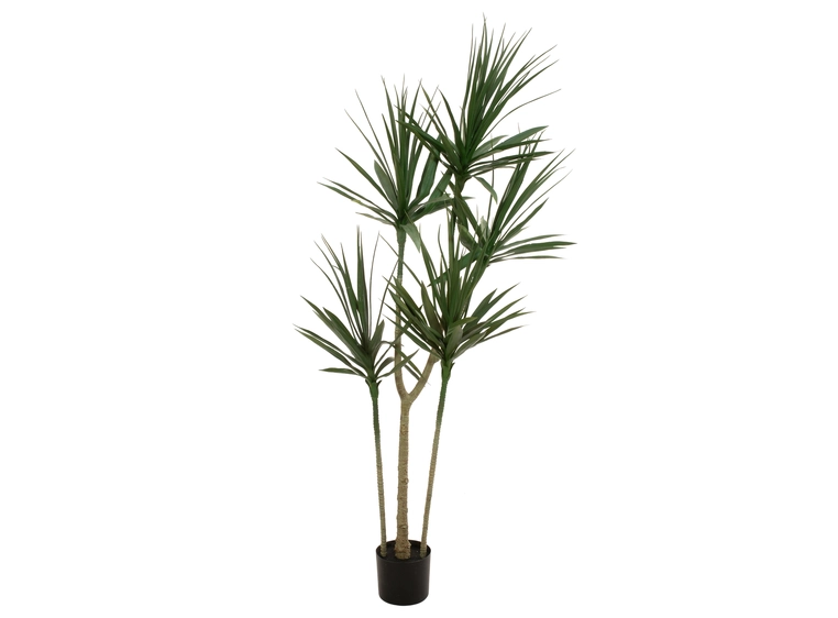 Europalms Dracaena, Kunstig plante Green, 170cm 