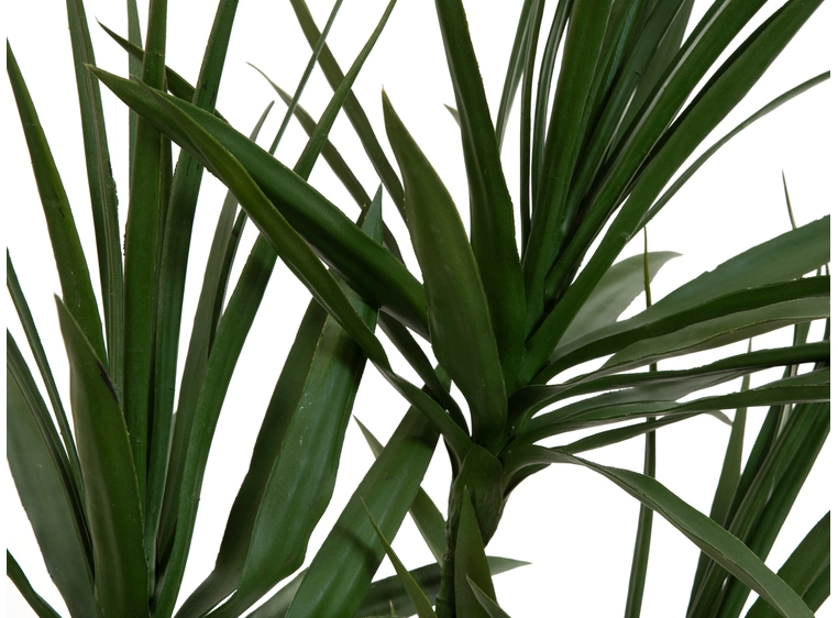 Europalms Dracaena, Kunstig plante Green, 170cm 