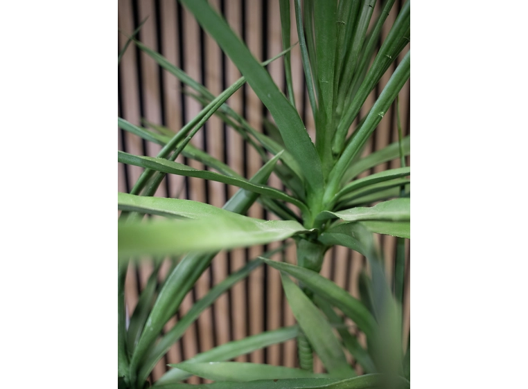 Europalms Dracaena, Kunstig plante Green, 170cm 