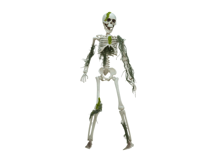 Europalms Skelteton with Moss, 40cm 