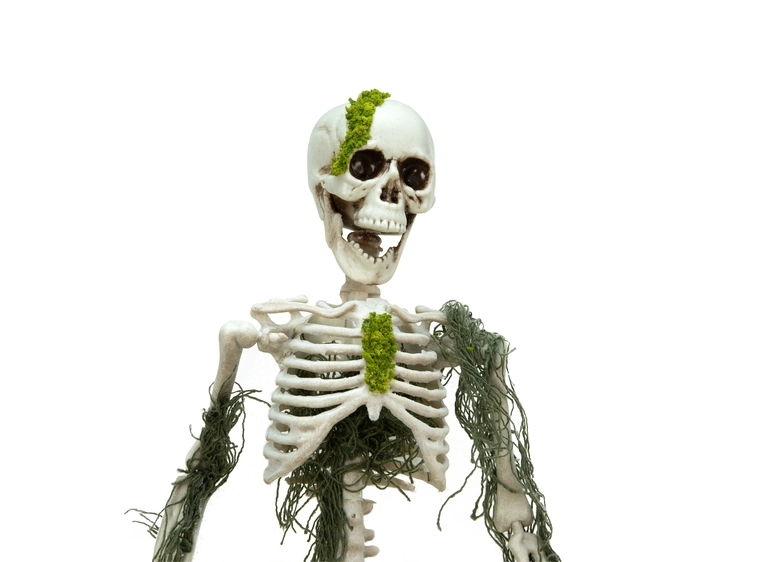 Europalms Skelteton with Moss, 40cm 