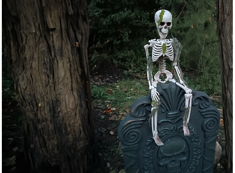 Europalms Skelteton with Moss, 40cm 