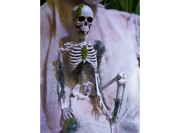 Europalms Skelteton with Moss, 40cm 