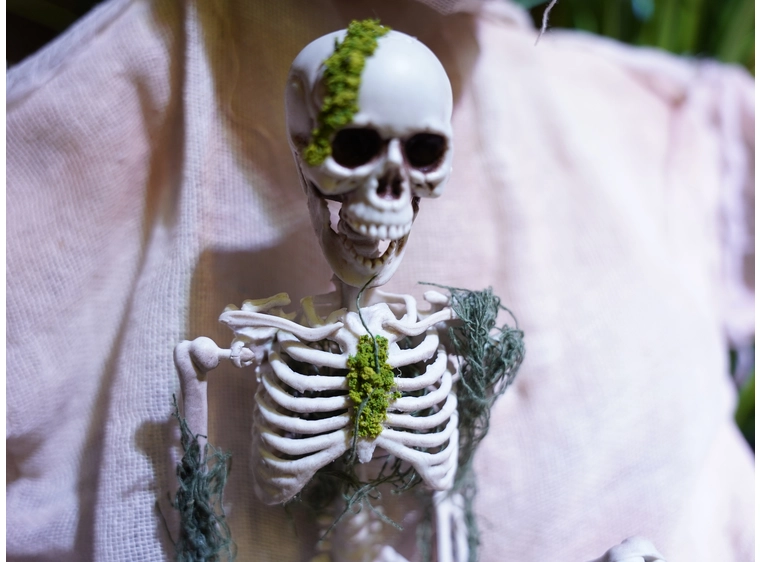 Europalms Skelteton with Moss, 40cm 