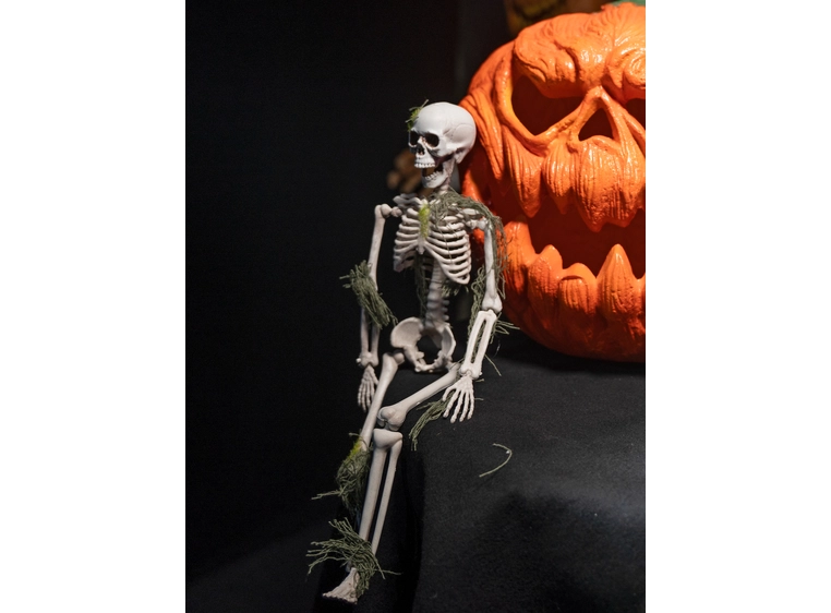 Europalms Skelteton with Moss, 40cm 