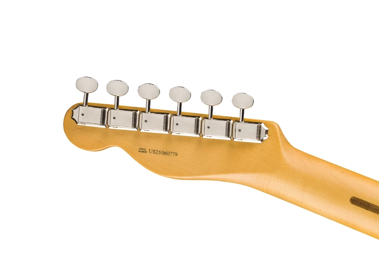 Fender Am Pro Classic Telecaster Butterscotch Blonde, MN 