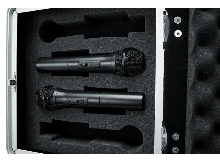 Gator GM-4WR Case til 4 trådløse systemer 