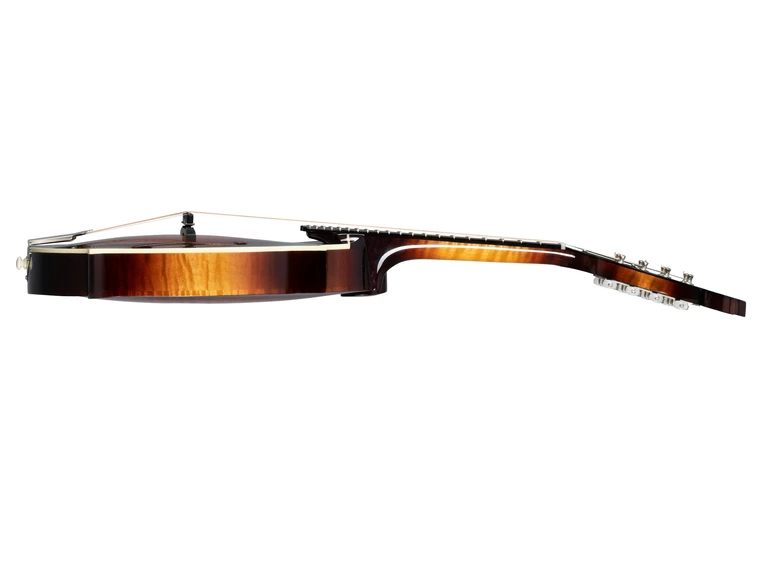 Gibson Customshop F-5G Dark Burst 