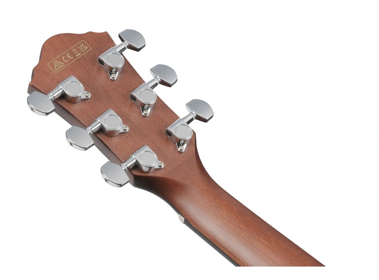 Ibanez AEWC16QA-TLH Ak.gitar Med mik. 