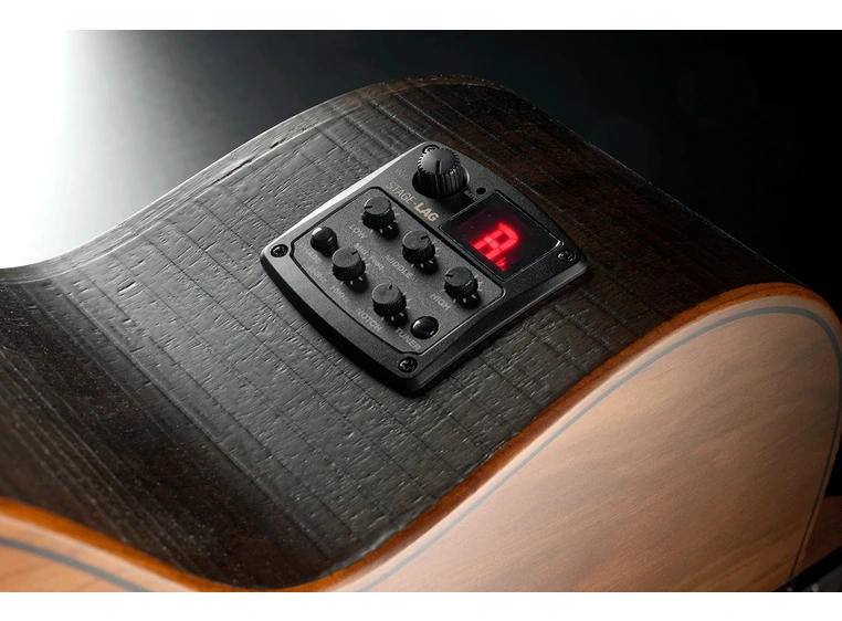 LAG SAUVAGE-N-ASCE Sauvage Nylon Auditorium Slim Cutaway AcousticElectric 