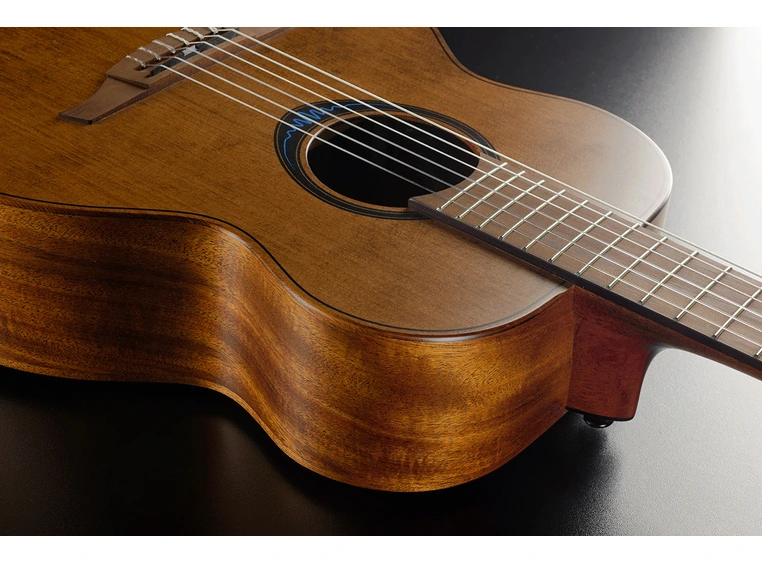 Lag Guitars TNBW1TE-BRW 