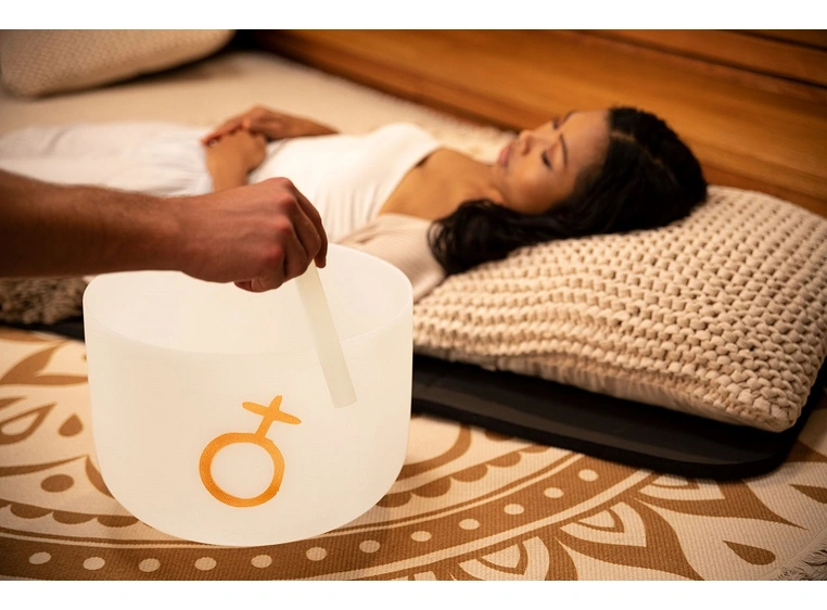 Meinl Sonic En. PCSB12EPL Plan. Tuned Crystal Singing Bowl 12, Earth Plat Year 