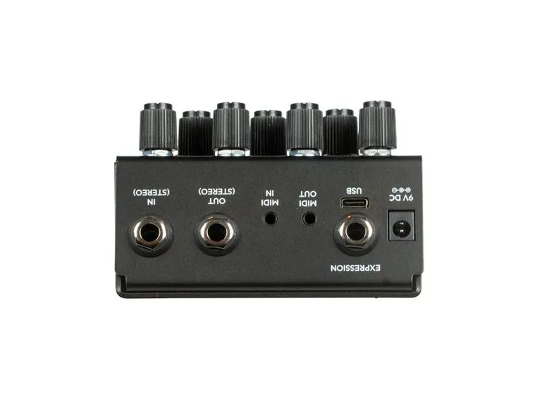 Old Blood Noise Bathing Ink Luminal Delay Pedal in Ink finish 