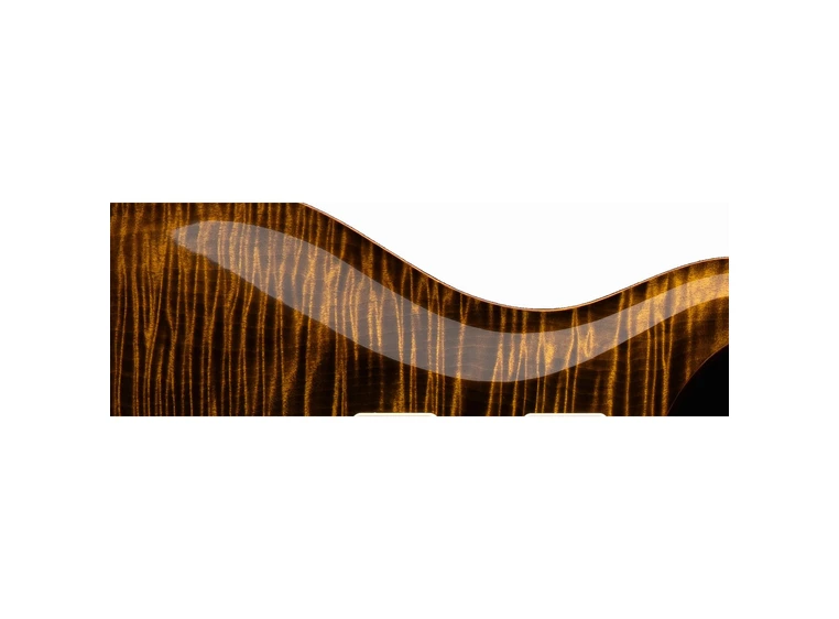 PRS Custom 24 - Black Gold 