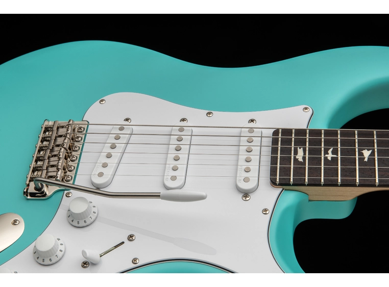 PRS Silver Sky Wild Blue Limited Edition 