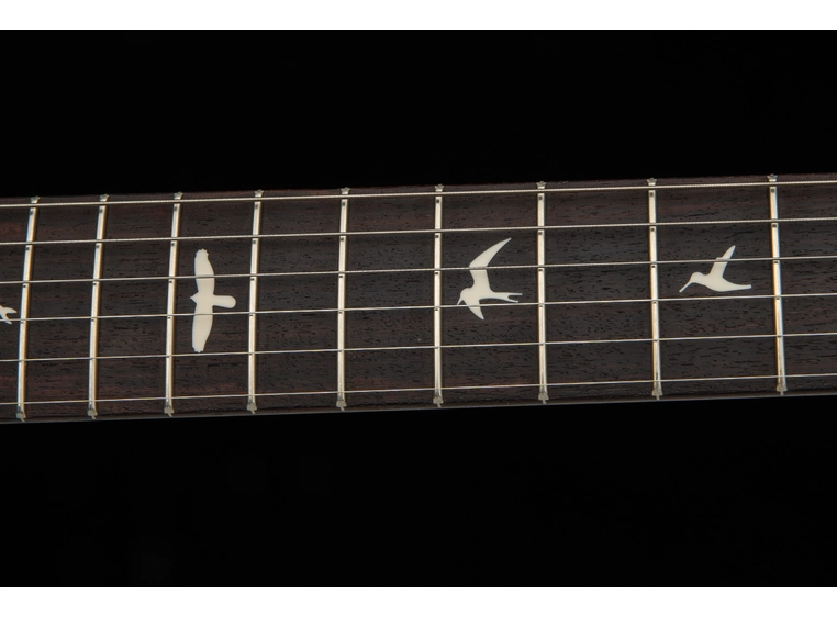 PRS Silver Sky Wild Blue Limited Edition 