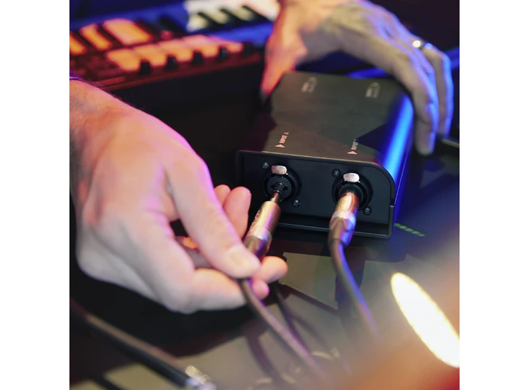 Palmer RIVER kyll Passive 2-channel Line Isolation box 