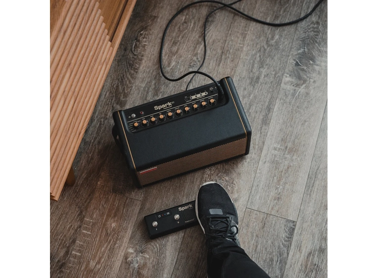 Positive Grid Spark Control 