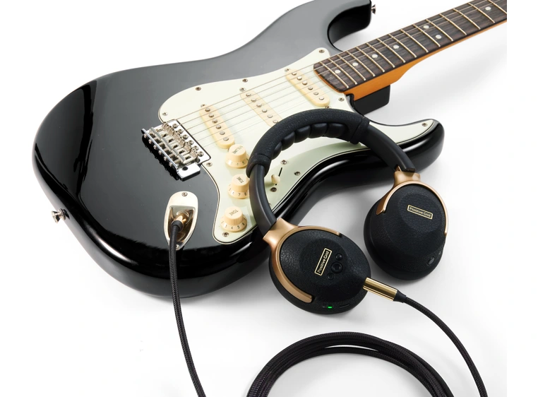 Positive Grid Spark NEO 