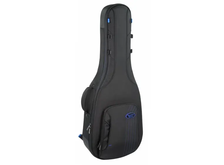 Reunion Blues Expedition Small Body Acoustic Case 