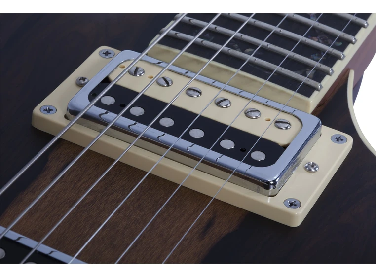 Schecter Avenger Exotic Ziricote NSZ 
