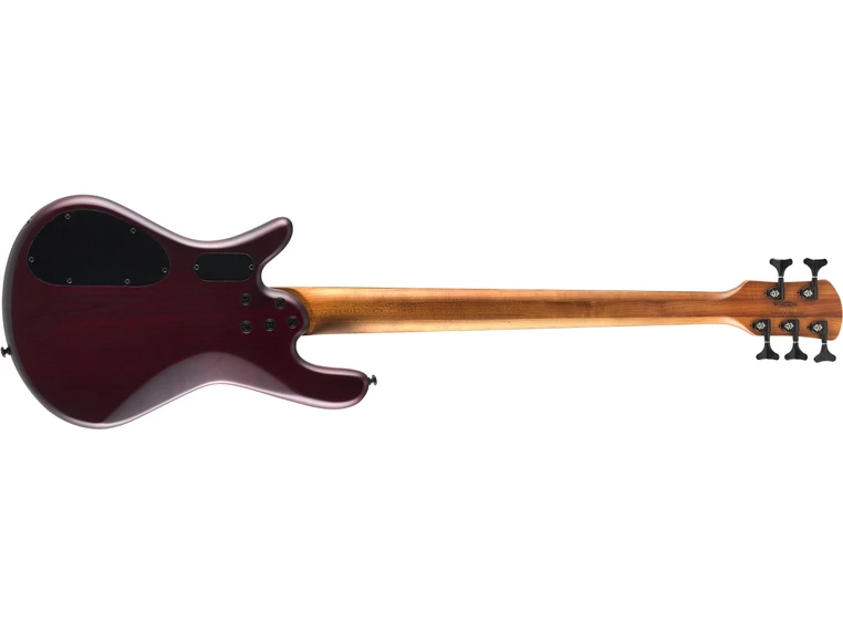 Spector NS Pulse II 5 Black Cherry Matte 