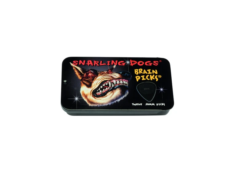 D'Andrea Plektre Brain P. Tin Box (12pk) 0.88mm Black 