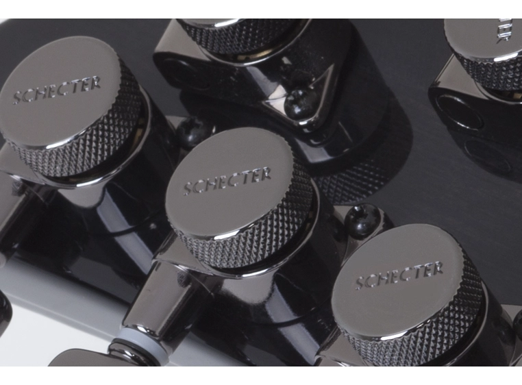 Schecter Hellraiser C-9 Black Cherry (BCH) 