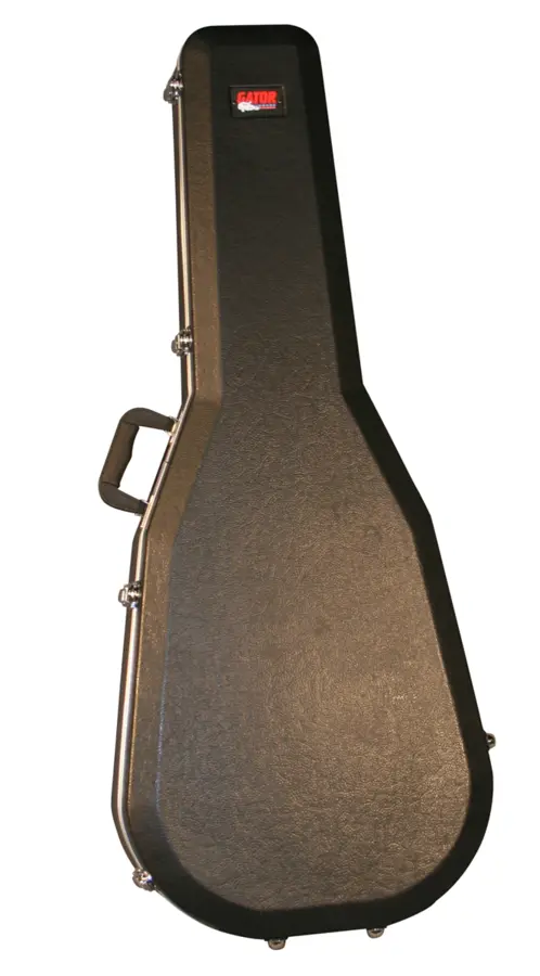 Gator Cases GC-DREAD-12 