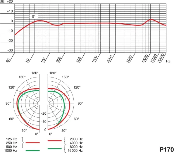 AKG P170 småmembranmikrofon 