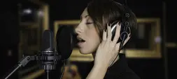 AKG C3000 stormembranmikrofon, nyre 