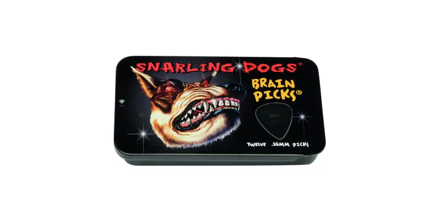 D'Andrea Plektre Brain P. Tin Box (12pk) 0.88mm Black 