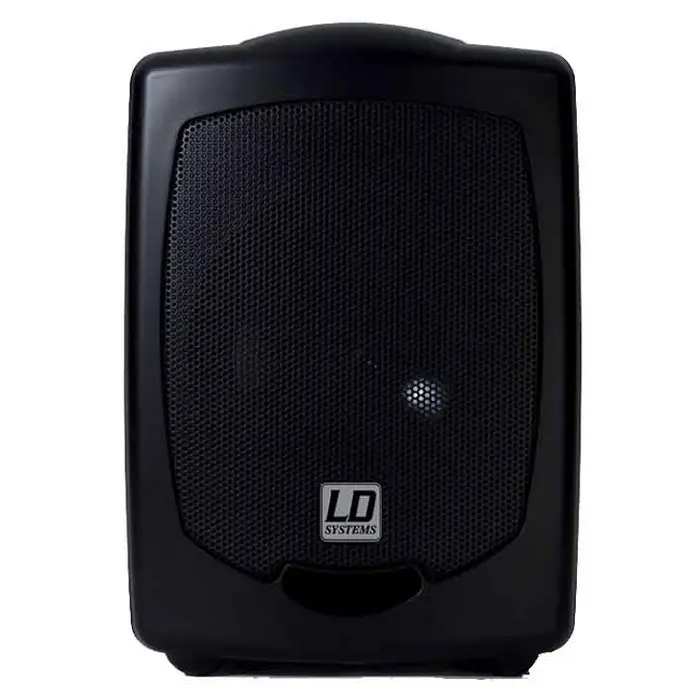 LD Systems Roadboy 65 SP Passive Slave Speaker 