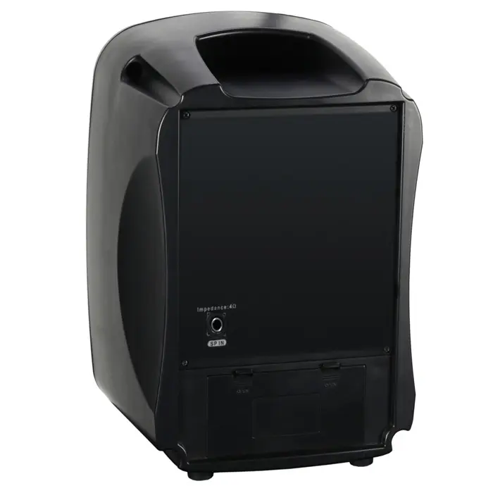 LD Systems Roadboy 65 SP Passive Slave Speaker 