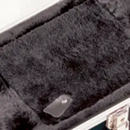 Gator Cases GC-MANDOLIN 