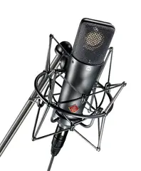 Neumann TLM 193 Large diaphragm cardioid microphone. Black.