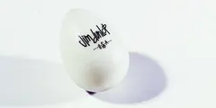 Dunlop 9110 Maracasegg selvlysende 36-pack
