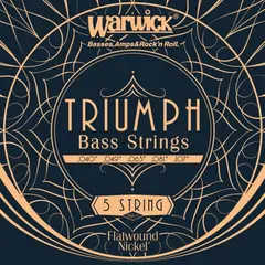 Warwick Triumph El-kontra strenger 5 str High C