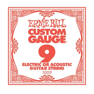 Ernie Ball EB-1009