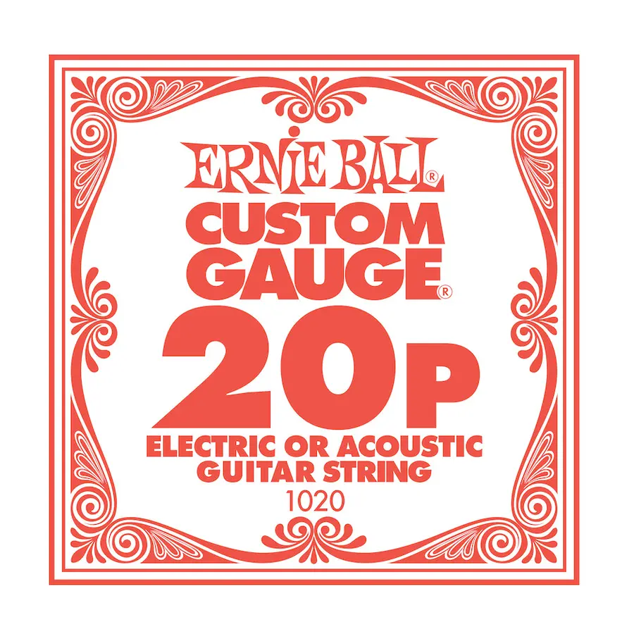 Ernie Ball EB-1020 020 Plain gitar str 