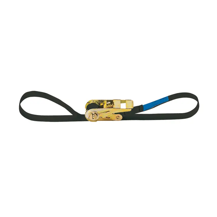 Adam Hall Accessories SR 258 - Ratchet Lashing Strap 25 mm - 