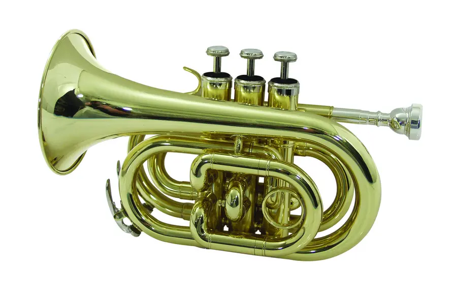 DIMAVERY TP-300 Bb Pocket Trumpet, gold 