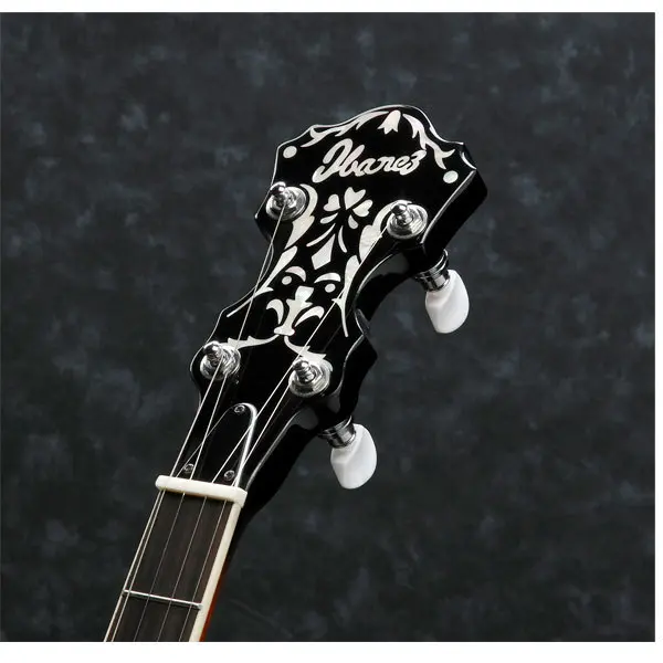 Ibanez B-200 - 5 str. banjo 