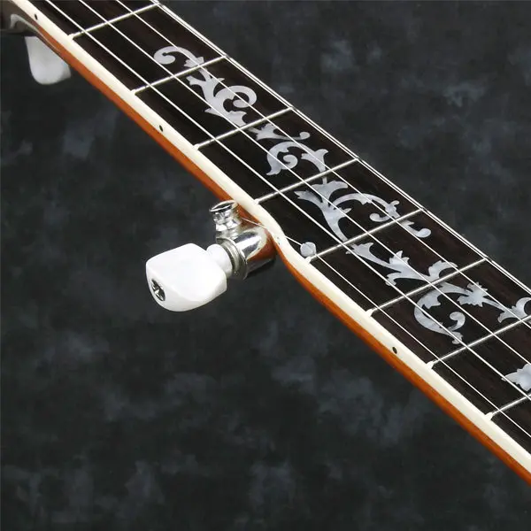 Ibanez B-200 - 5 str. banjo 